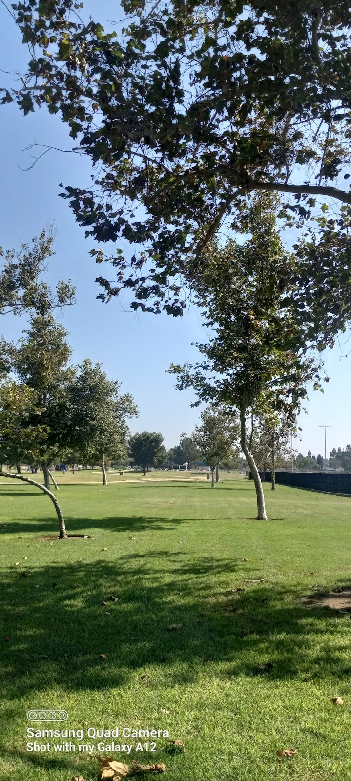 Thornton Park