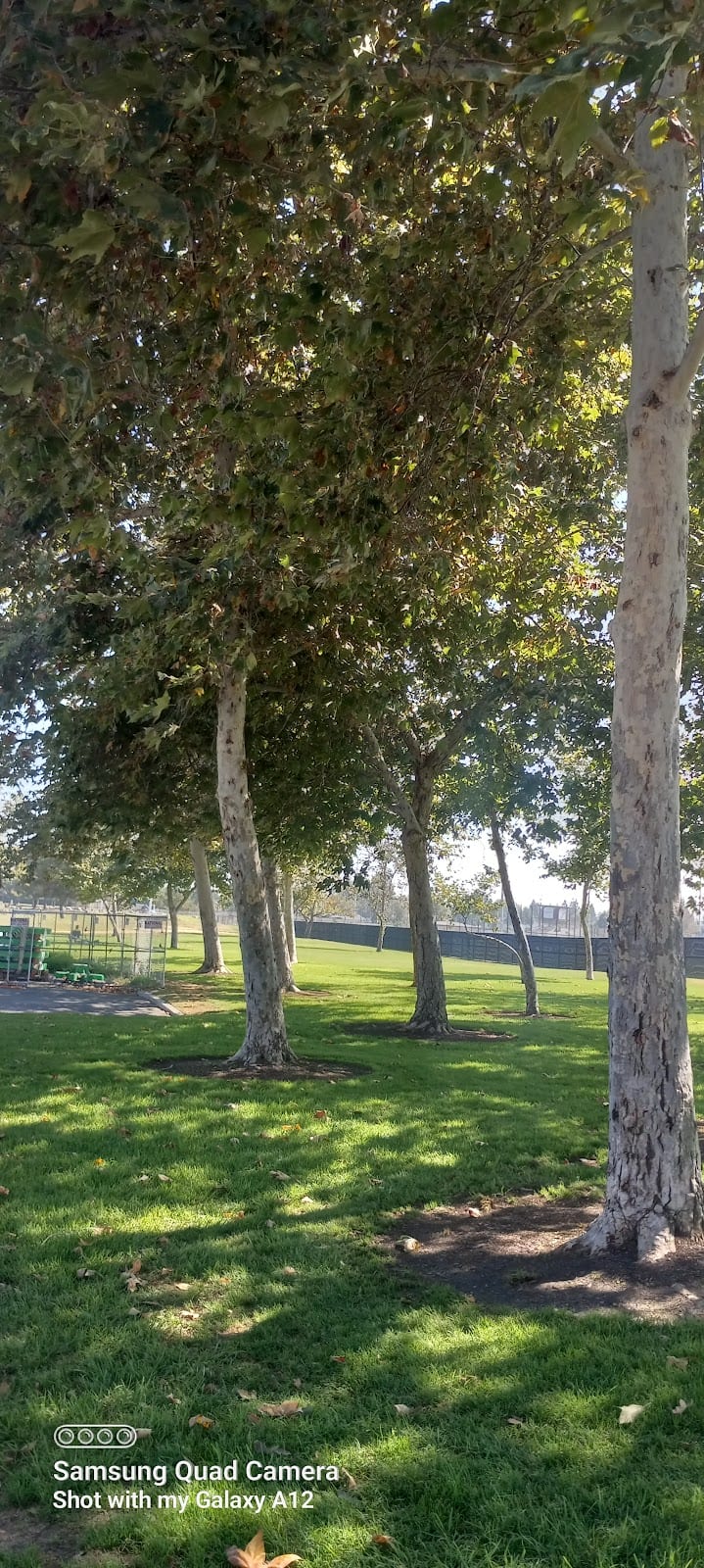 Thornton Park
