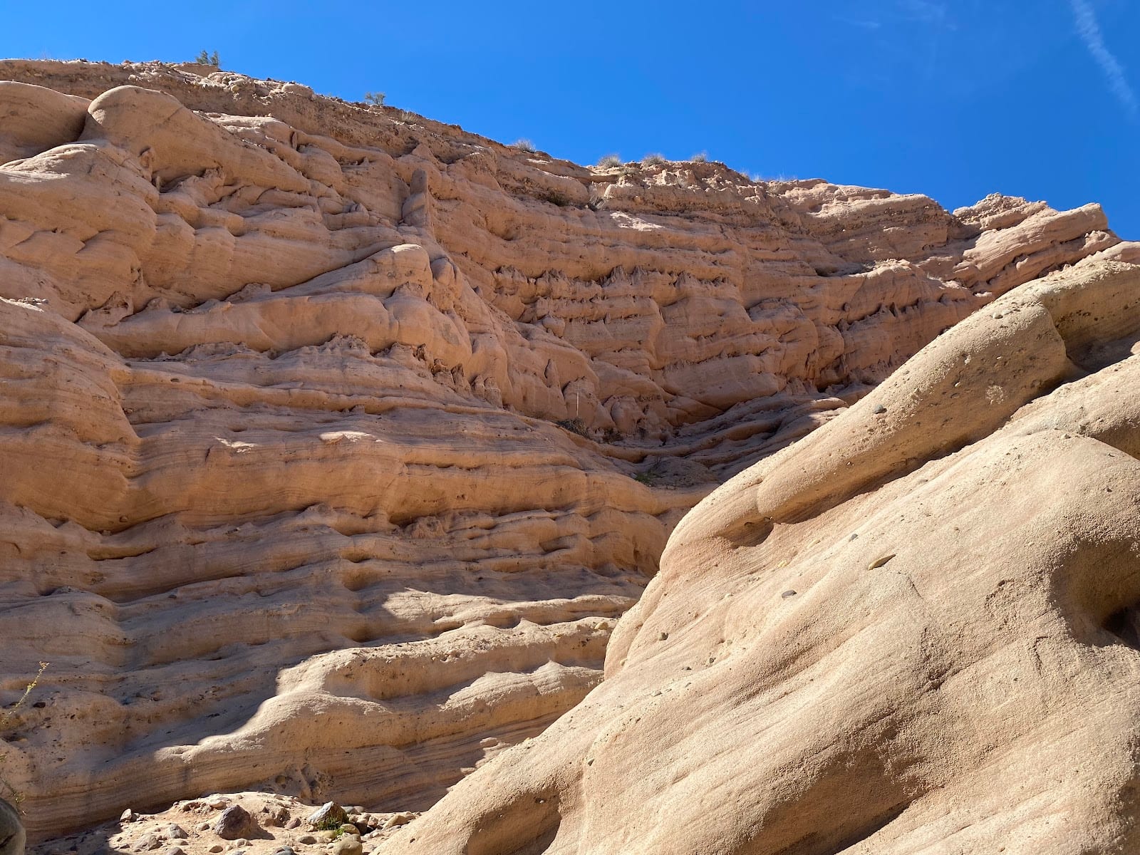 Whiting Ranch Wilderness Park