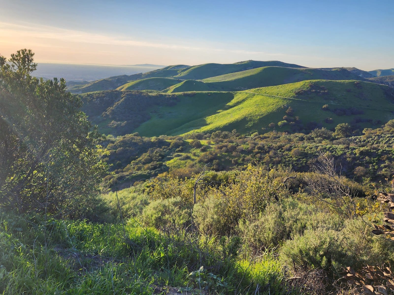 Whiting Ranch Wilderness Park