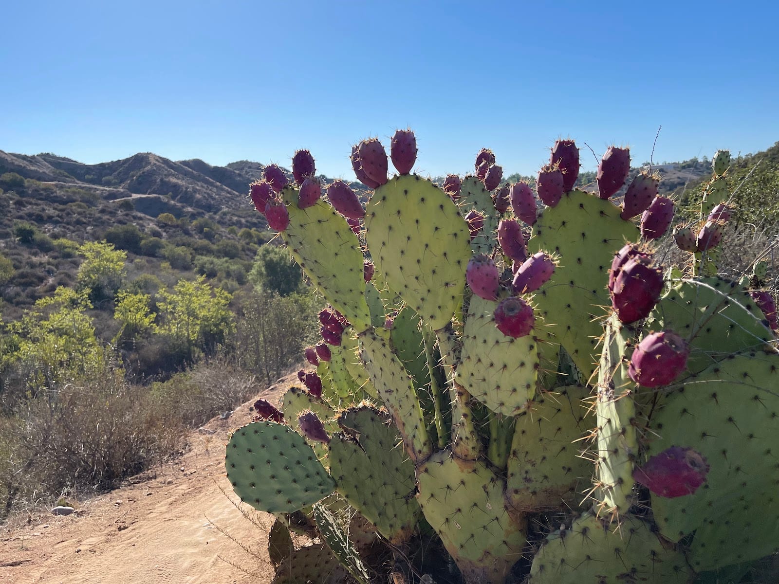 Whiting Ranch Wilderness Park