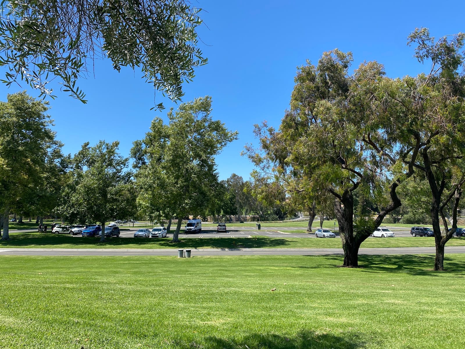 William R. Mason Regional Park